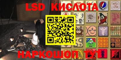 мяу мяу мука Аргун