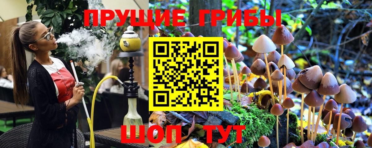 Псилоцибиновые грибы прущие грибы  Галлюциногенные грибы Magic Shrooms  где купить   Нижневартовск 